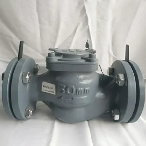 Đồng hồ nước Asahi WVM50