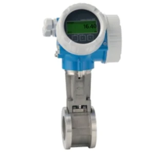 Đồng hồ đo lưu lượng Endress Hauser D200