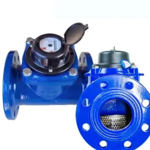Đồng hồ đo nước lạnh tưới tiêu Woltman