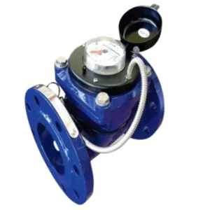 Đồng hồ Pmax woltman WHB dây xung