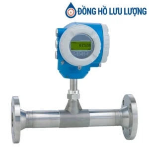 Đồng hồ đo lưu lượng khối lượng F300