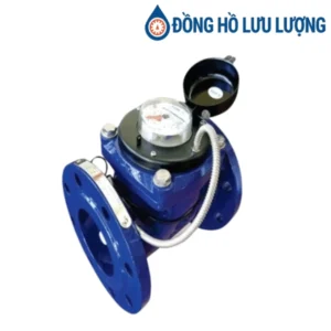 Đồng hồ Pmax woltman WHB dây xung