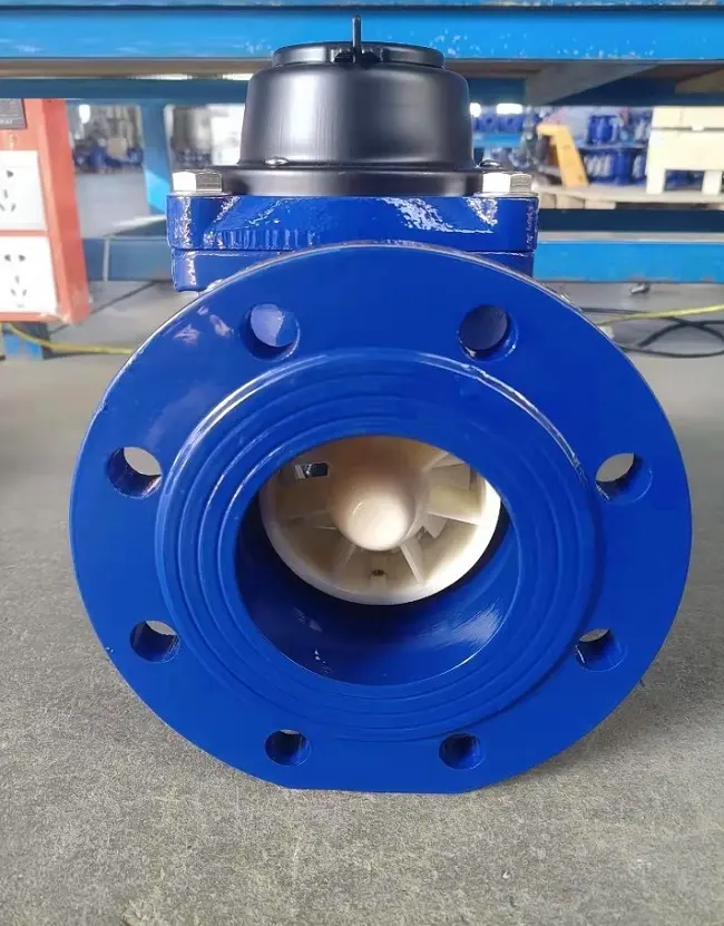 ĐHĐLL - Địa chỉ cung cấp đồng hồ Merlion mặt bích