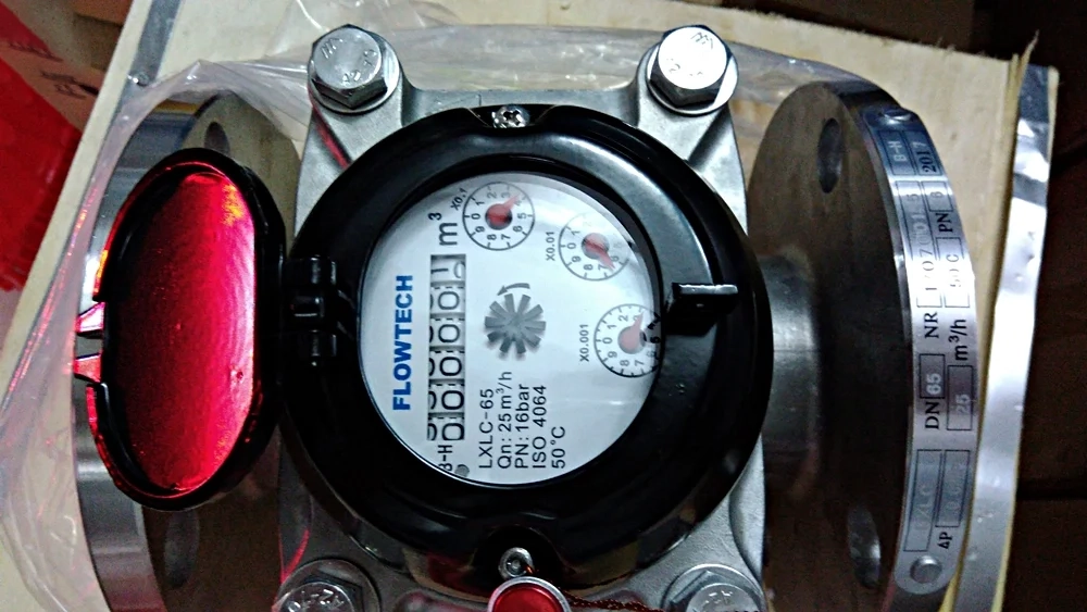 Đồng hồ Flowtech LXLC inox nối bích