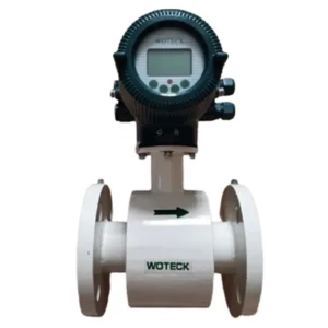 Đồng hồ đo lưu lượng Woteck thân liền