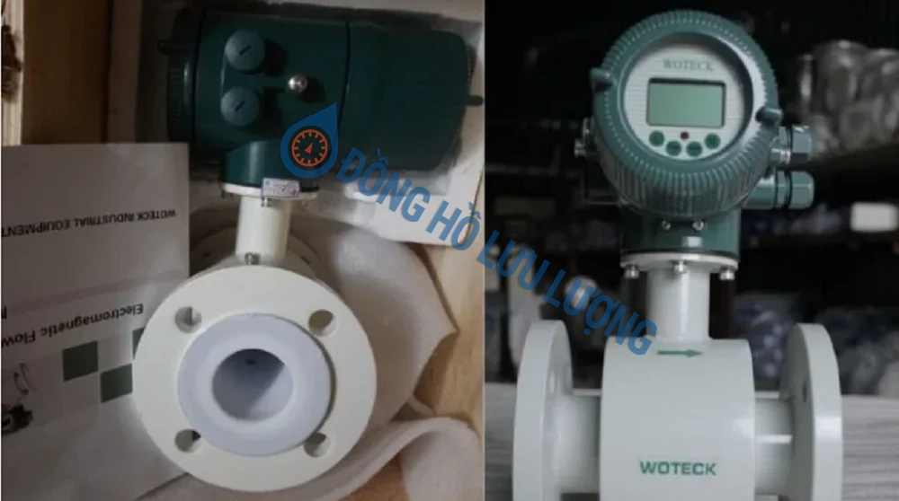 Đồng hồ đo lưu lượng Woteck thân liền