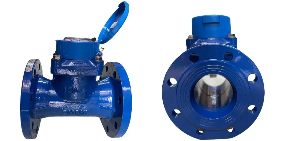 Đồng hồ nước DN100