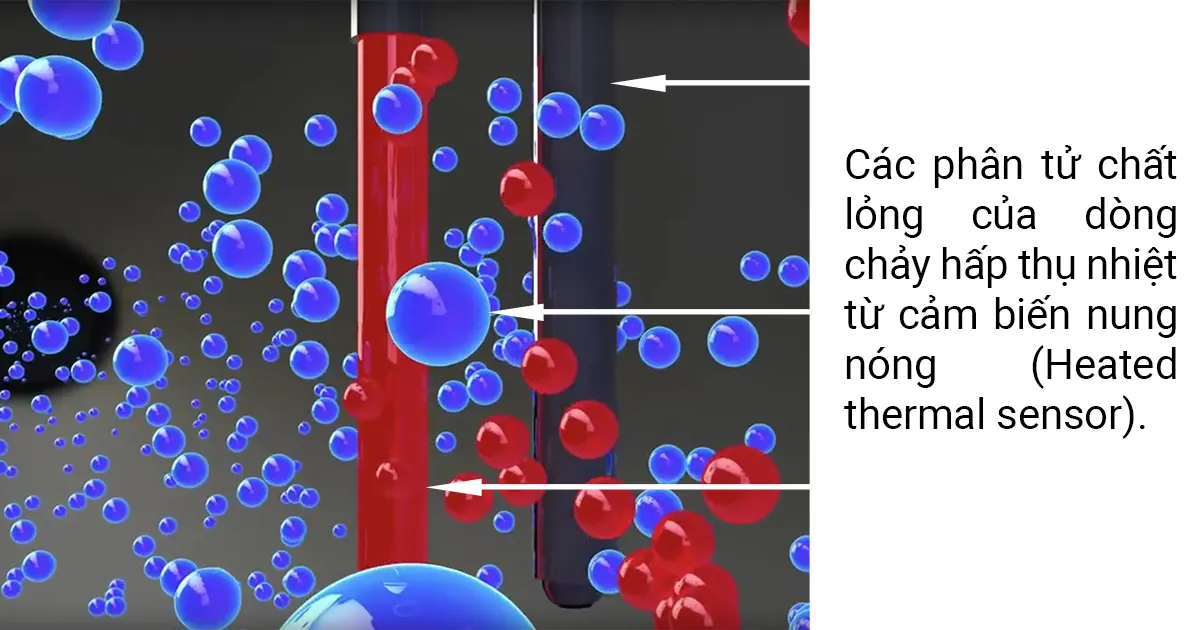 Các phân tử chất lỏng hấp thụ nhiệt từ cảm biến nung nóng
