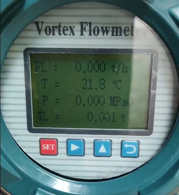 Các thông số hiển thị cơ bản trên đồng hồ đo lưu lượng Vortex