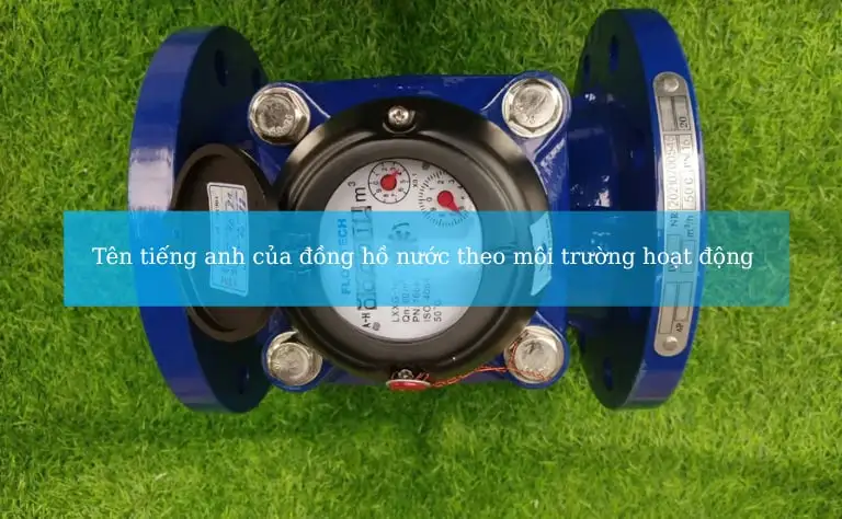 Tên tiếng Anh đồng hồ nước theo môi trường hoạt động