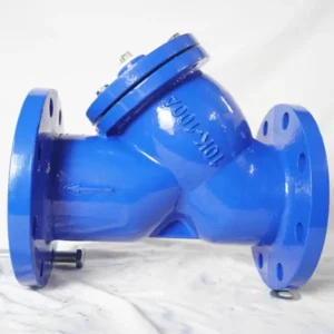 Lọc y gang lắp bích DN50 - DN300